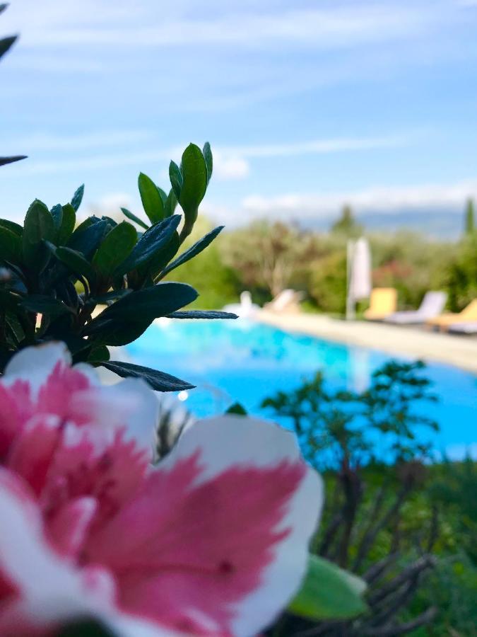 Bed and Breakfast Le Mas De La Source Mougins Exteriér fotografie