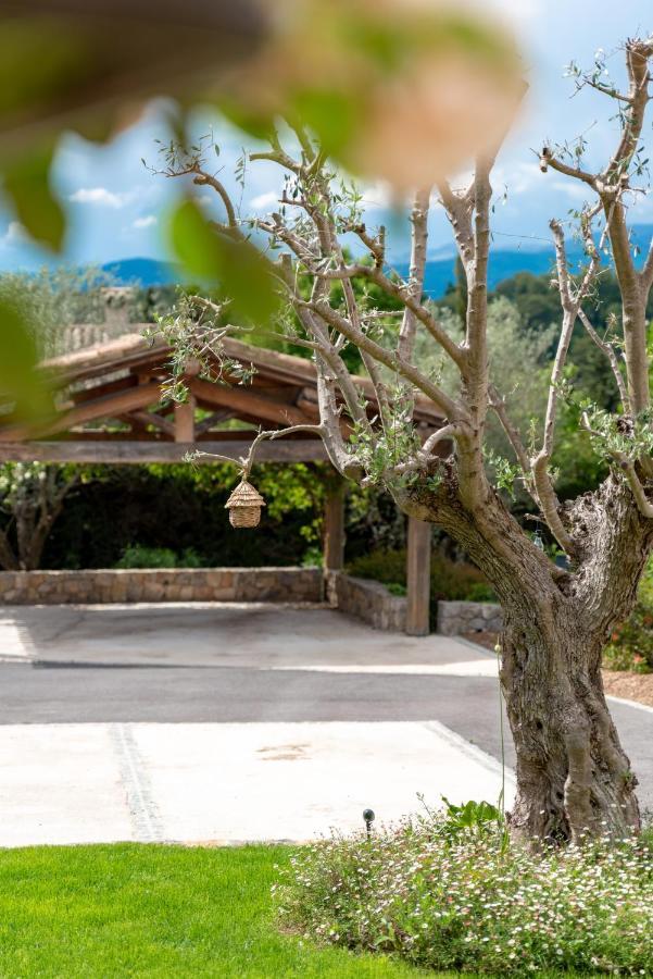 Bed and Breakfast Le Mas De La Source Mougins Exteriér fotografie