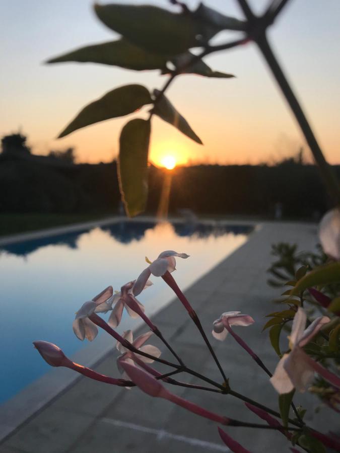 Bed and Breakfast Le Mas De La Source Mougins Exteriér fotografie